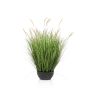 False fountain grass WALERIAN in decorative bowl, with panicles, green, 31"/80cm