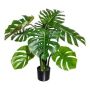 Decorative Philodendron Monstera Deliciosa EUPIR, 3ft/90cm