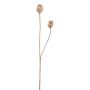 Artificial branch Poppy capsules ORIONLA, light brown, 26"/65cm