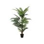 False Dypsis lutescens EMELINE, 5ft/150cm