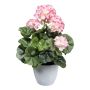 Decorative flower Geranium KLUMOR in melamine planter, pink-white, 14"/35cm