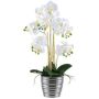 False Phalaenopsis orchid VORDLIN, silvery ceramic pot, roots, white, 24"/60cm