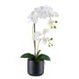 False Phalaenopsis orchid MAYAK, ceramic pot, roots, white, 20"/50cm