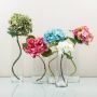 Dancing Hydrangeas