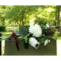 All Saints' Day - Eternally united by love