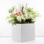 Individual orchid arrangement – a customer request from Isabella