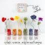 Flowers Bloom in Every Colour
