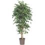 False Ficus Benjamina LEVANTA, natural stems, green-white, 4ft/125cm - Made in Italy