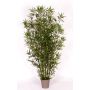 Artificial bamboo HILDEMARA, natural bamboo sticks, crossdoor, 6ft/175cm - Made in Italy