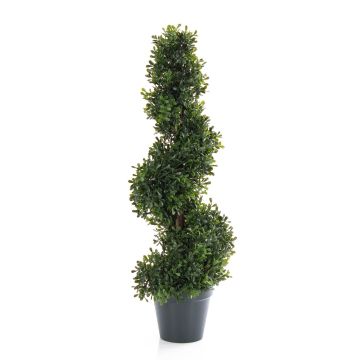 Decorative tree Boxwood spiral FRITZ in Decorative pot, 24"/60cm