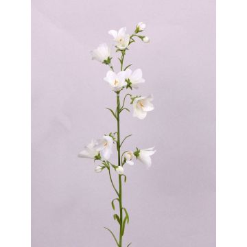 Fake bellflower GISELA, white, 26"/65cm, Ø 2"/5cm