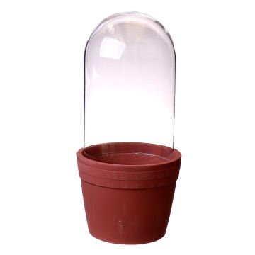 Ceramic pot with glass lid ALKMUND, brown-clear, 30cm, Ø14cm