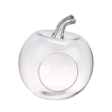 Glass terrarium TISOA in apple shape, clear, 10"/26cm, Ø9"/24cm