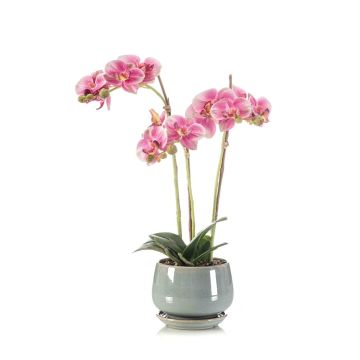 Decorative Phalaenopsis orchid JOLANA in a ceramic pot, pink, 18"/45cm