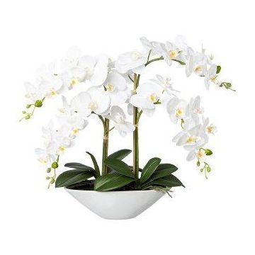 False Phalaenopsis orchid KENTOL, ceramic bowl, roots, white, 22"/55cm