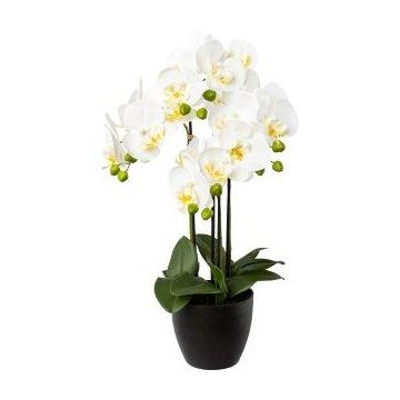 Decorative Phalaenopsis orchid UKERNA in resin planter, white, 22"/55cm