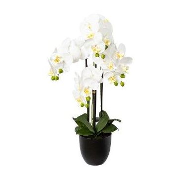Decorative Phalaenopsis orchid UKERNA in resin planter, white, 28"/70cm