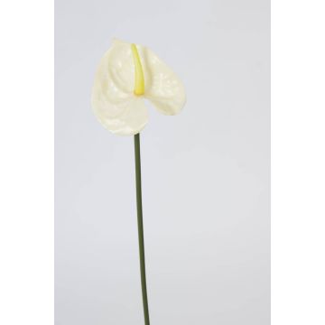 Artificial Anthurium FELISA, cream, 20"/50cm, 2.8"x3.5"/7x9cm