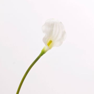 Decorative calla flower PEPITA, white, 22"/55cm, 2.8x4.3"/7x11cm