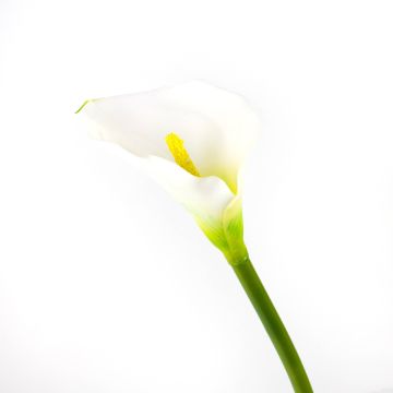 Fake flower Calla SUSANA, white, 28"/70cm, 3.1"x4.7"/8x12cm