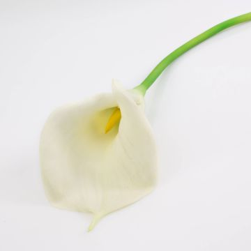 Artificial flower Calla TERESA, cream, 28"/70cm, 3.9"x7"/10x18cm
