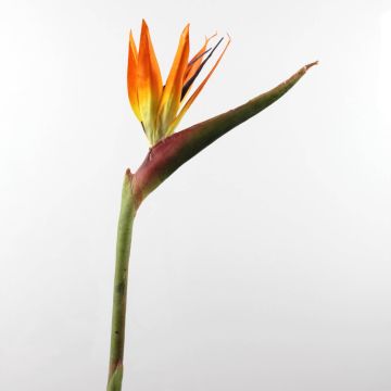 Artificial bird of paradise flower CHAYA, orange-purple, 3ft/95cm, 6.7"x9.4"/17x24cm