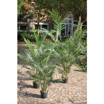 Artificial Palm tree areca BONNY, 3ft/90cm