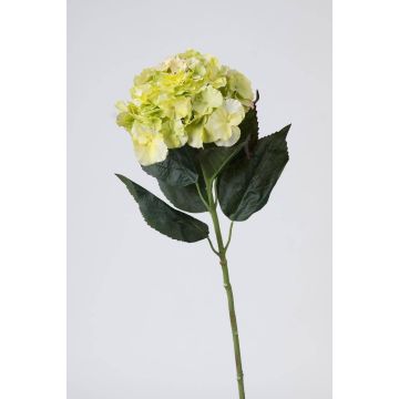 Artificial flower hydrangea ANGELINA, cream-green, 28"/70cm, Ø 9"/23cm