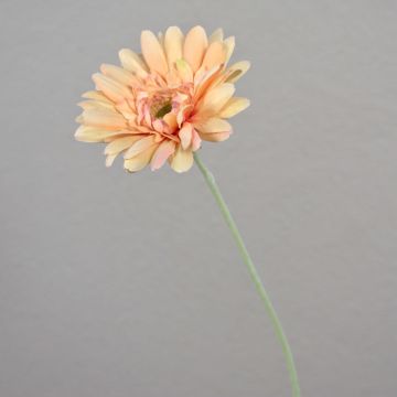 Artificial Gerbera VIRGINIA, cream-pink, 22"/55cm, Ø 4.3"/11cm