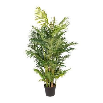 Artificial palm Areca HAZMI, 6ft/170cm