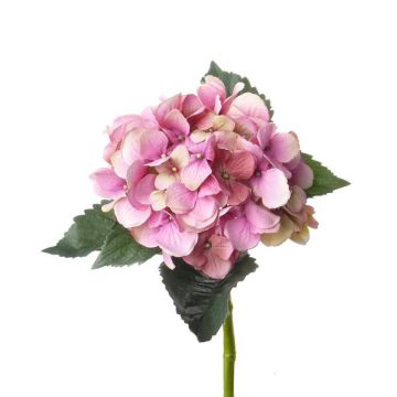 Decorative hydrangea ANTONIA, pink, 20"/50cm, Ø 5.9"/15cm