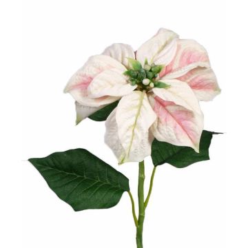 Decorative flower Poinsettia MARRIT, white-pink, 28"/70cm, Ø 8"/20cm
