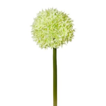 Artificial flower Allium WANDENY, cream-green, 26"/65cm