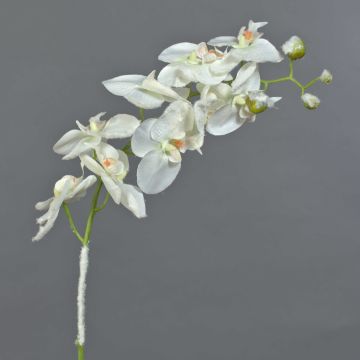 Artificial Phalaenopsis Orchid NALANI, snow, white, 31"/80cm