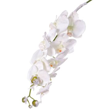 Artificial Phalaenopsis Orchid NALANI, snow, white, 31"/80cm