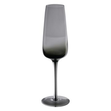 Champagne glass LUCIEL, grey clear, 23cm, Ø7cm