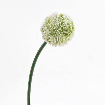 Decorative allium flower BEATRISA, cream, 26"/65cm, Ø 3.9"/10cm