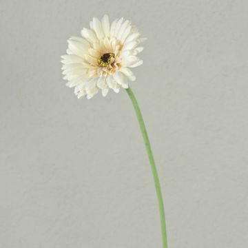 Artificial flower Gerbera TEUDELINDE, white-cream, 22"/55cm, Ø3.1"/8cm