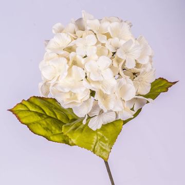 Artificial hydrangea MONA, cream, 28"/70cm, Ø 6.3"/16cm