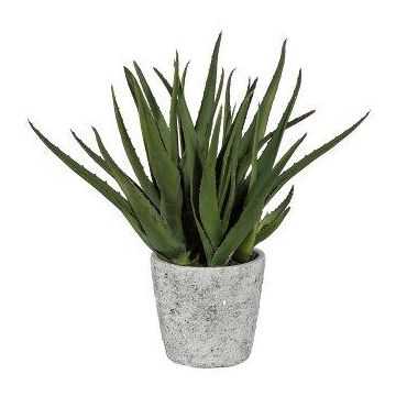 Artificial succulent Aloe Vera BRIZE in cement pot, green, 18"/45cm