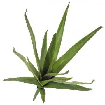 Decorative Aloe Vera VERENA, spike, crossdoor, green, 20"/50cm, Ø 16"/40cm