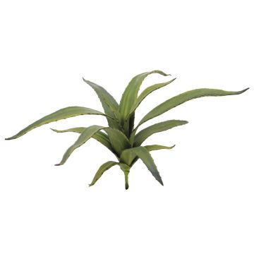 Decorative Aloe Vera VERENA, spike, crossdoor, green, 26"/65cm, Ø 20"/50cm