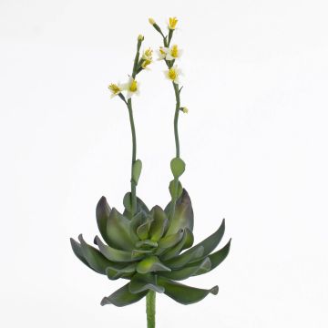 Plastic plant Aeonium CHARLIZE, flowering, spike, yellow, 12"/30cm
