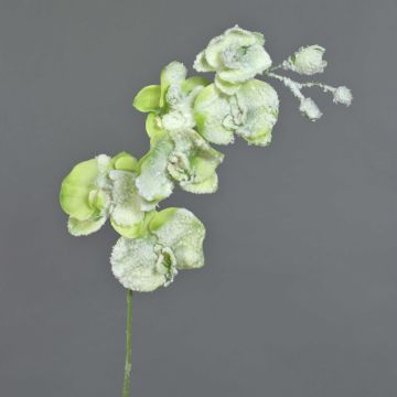 Artificial spray Phalaenopsis orchid MYRIA, snow, green, 30"/75cm