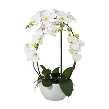 False Phalaenopsis orchid INAKES, ceramic pot, roots, white, 20"/50cm