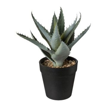 Decorative succulent Aloe Vera BLORN in decorative pot, green, 8"/20cm