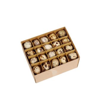Decorative quail eggs BACO, 60 pieces, Easter decoration, natural