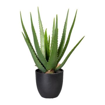 Decorative succulent Aloe Vera KRONFA in decorative pot, green, 18"/45cm