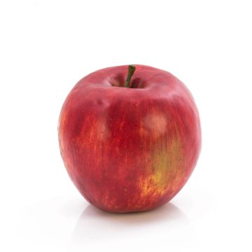Plastic apple ADAM, red, 3"/7,5cm, Ø 3.1"/8cm