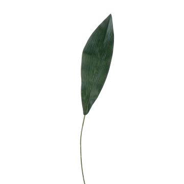 Artificial Aspidistra leaf PAISA, 30"/75cm Artificial Aspidistra leaf PAISA, 30"/75cm